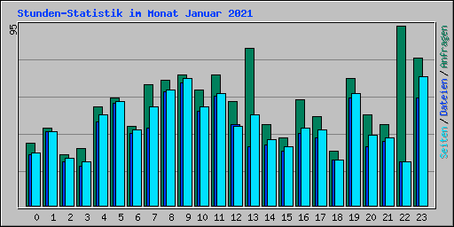 Stunden-Statistik im Monat Januar 2021