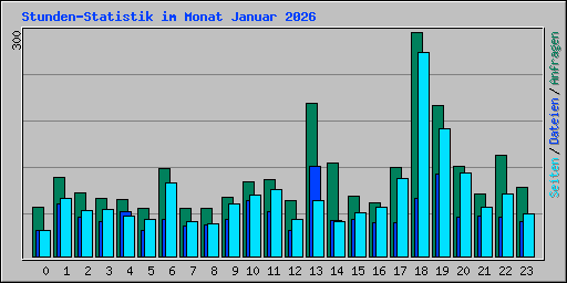 Stunden-Statistik im Monat Januar 2026