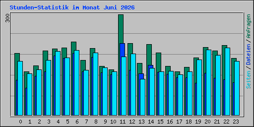 Stunden-Statistik im Monat Juni 2026