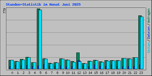 Stunden-Statistik im Monat Juni 2025