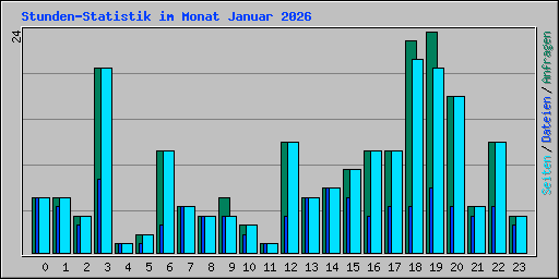 Stunden-Statistik im Monat Januar 2026