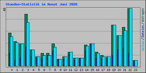Stunden-Statistik im Monat Juni 2026