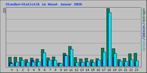 Stunden-Statistik im Monat Januar 2026