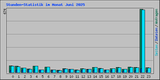 Stunden-Statistik im Monat Juni 2025